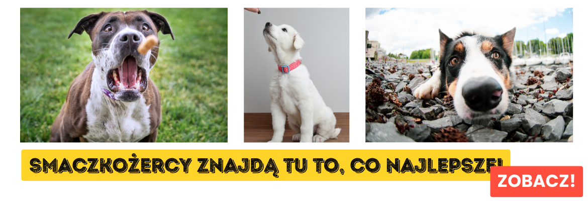 SMACZKOŻERCY